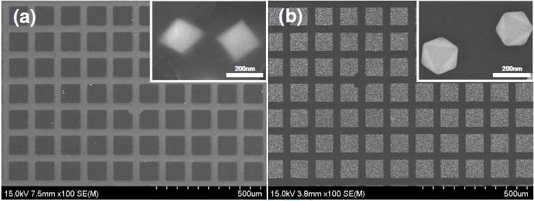(a) 전자선 조사 및 열처리 후 패턴화된 필름, (b) 반응성 이온 식각 및 산화성 분해 후 필름의 SEM 사진