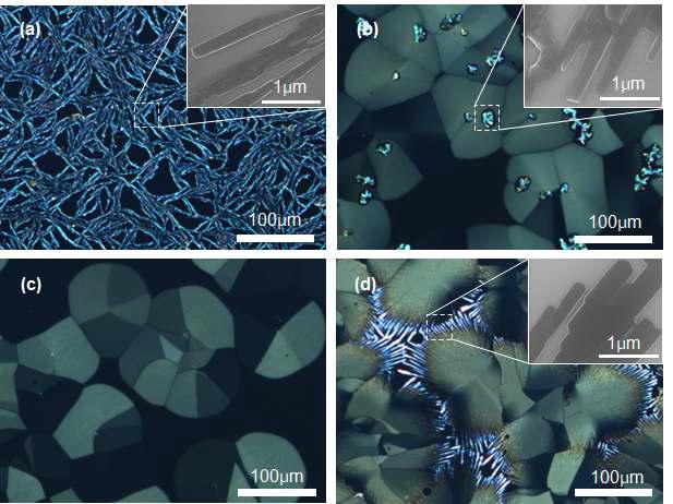 서로 다른 온도와 시간으로 열처리된 30 nm 루브렌 박막의 편광현미경과 전자현미경(삽입 그림) 사진 (a) 125 ℃ 30 분 (b) 150 ℃ 5 분 (c) 170 ℃ 15 초 (d) 195 ℃ 15 초.