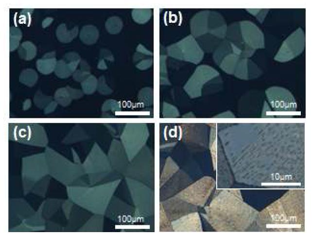 170 ℃에서 서로 시간으로 열처리된 30 nm 루브렌 박막의 편광현미경 사진 (a) 5 초 (b) 15 초 (c) 30 초 (d) 10 분