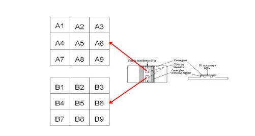 Schematic diagram of a hemocytometer