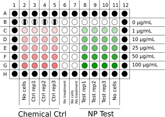 Dosing plate layout: white wells contain complete cell culture medium, whereas black wells can either contain complete cell culture medium (better) or stay empty. Stripped wells contain mixture (1). Columns 8-11 and 2-5 are treated column by column with a 10-channel multichannel pipette (200 μL)