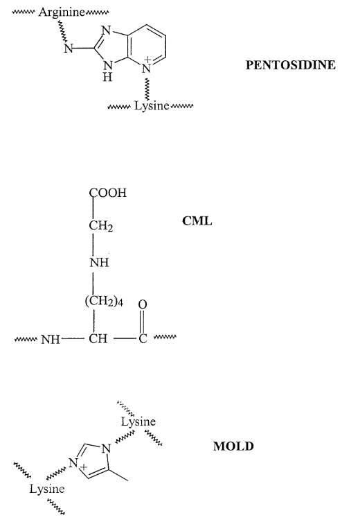 AGE CML , pentosidine 과 MOLD의구조.