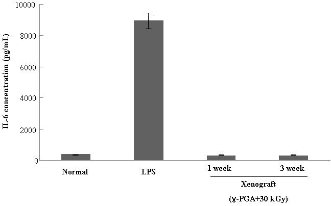 이종이식 후 토끼의 혈액에서의 IL-6 분석 (1~3 주)