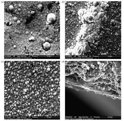 SEM micrographs of top views of Pd composite membranes prepared by the three different methods: (a) CELP; (b) SELP ; (c) VELP and (d) cross-section morphology of Pd membrane by VELP method.