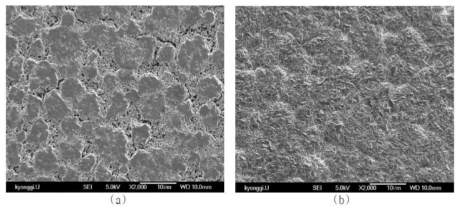 SEM micrographs of porous (a) Ni support and (b) Ni electro plating.
