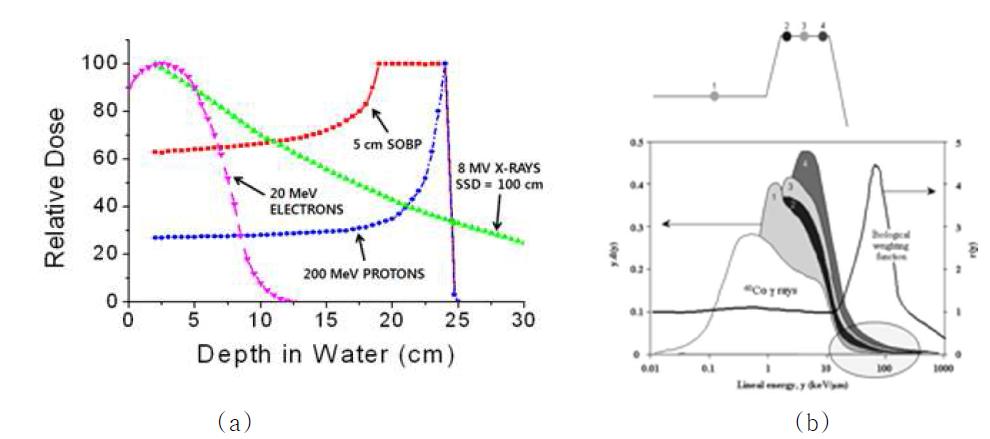 (a)깊이선량특성곡선과 (b)깊이선량특성곡선과 LET분포