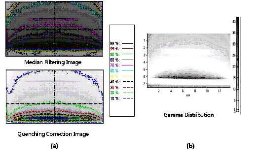 퀀칭 효과에 대한 교정 전후의 영상 (a) Median filtering에 의한 필터된 이미지와 퀀칭 효과에 대해 보정된 영상 (b) 교정 전후 영상의 비교를 위한 감마 분석 영상