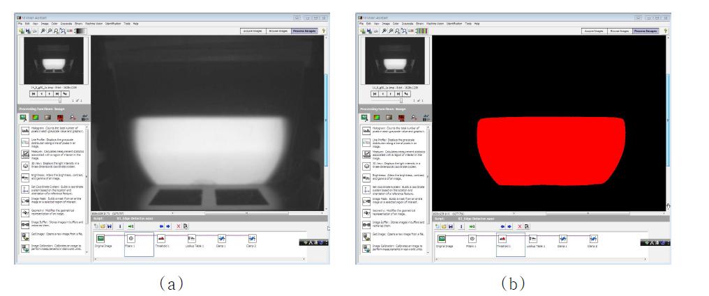 영상 분석 프로그램의 (a) Dead pixel을 제거 기능과 (b) 분석 영역 설정 기능