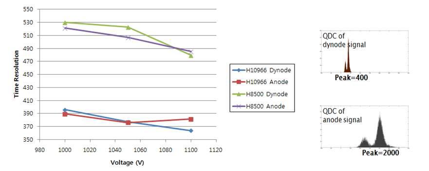 H8500과 H10966A-100의 dynode와 anode 신호의 시간분해능