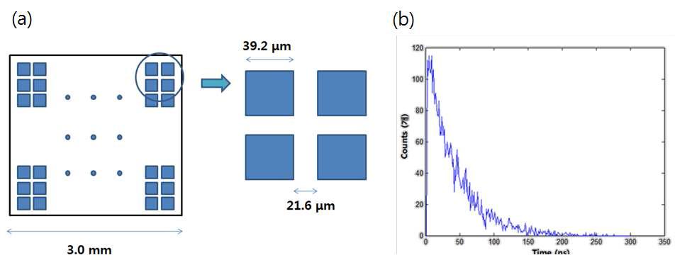 (a) SiPM mini-cell 구조와 (b) 시간에 따른 섬광 빛의 세기