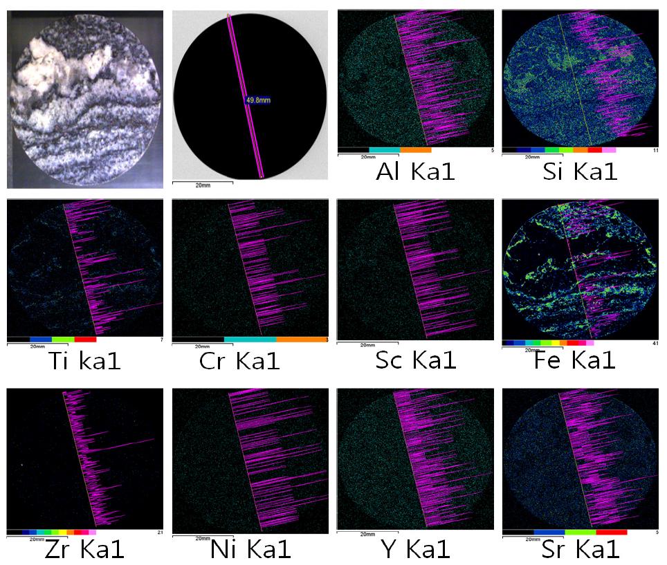 Elemental mapping을 통한 전체적인 원소 분포와 49.8mm line 내 상대적인 원소 분포 비교