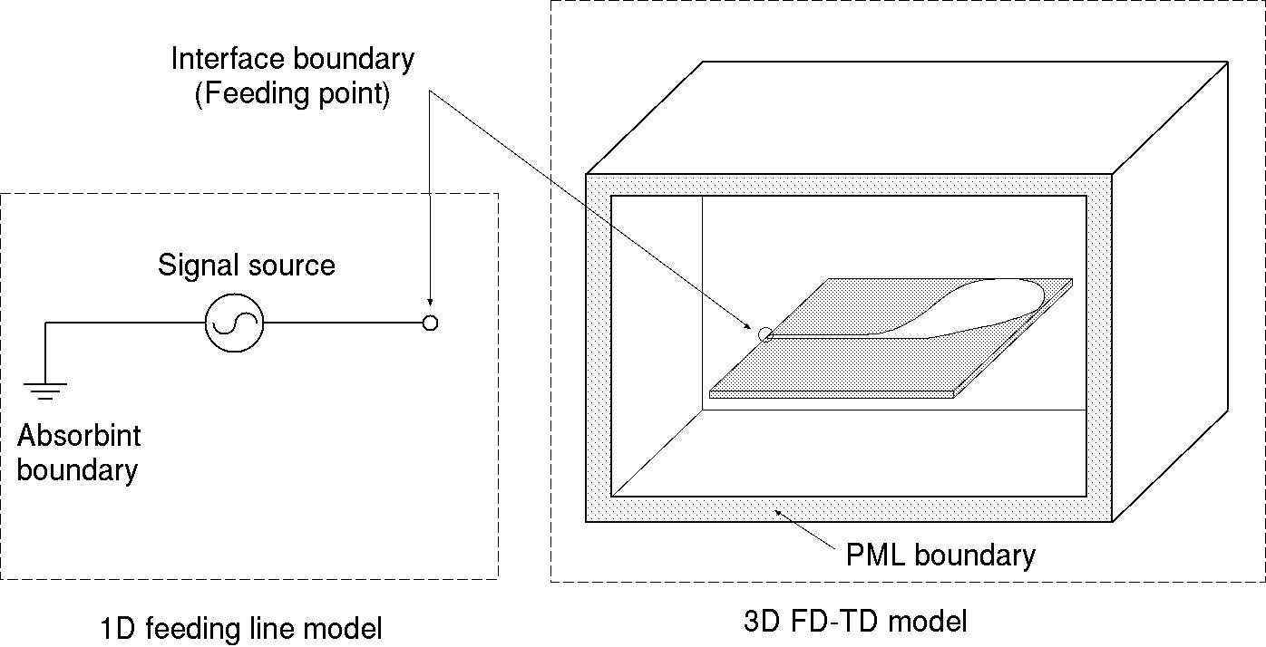 Schematic sketch of the FDTD simulation model.