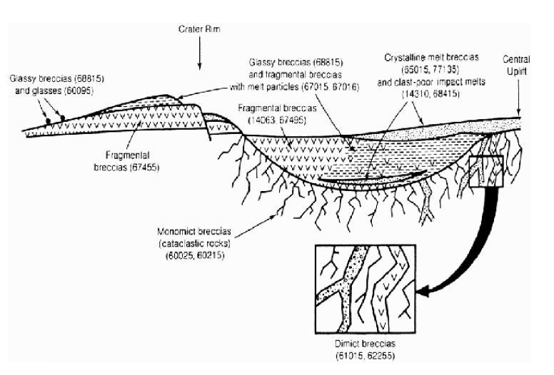 Cross-section of an ideal lunar crater showing the relations of different polymict breccia types and possible monomict breccias to the geological environment of the crater