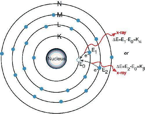 Description of X-ray production mechanism. ,