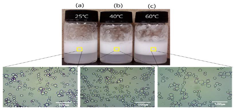 온도 변화에 따른 Pickering 에멀젼 관찰. 오븐에 30분 방치 후 관찰. (a) 25℃, (b) 40℃, (c) 60℃