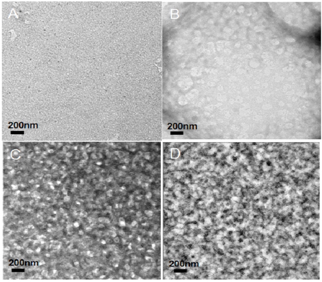 TEM images of (A) PVC andPVC-g-POEM graft copolymers: (B) PVPO11, (C)PVPO13 and (D) PVPO16