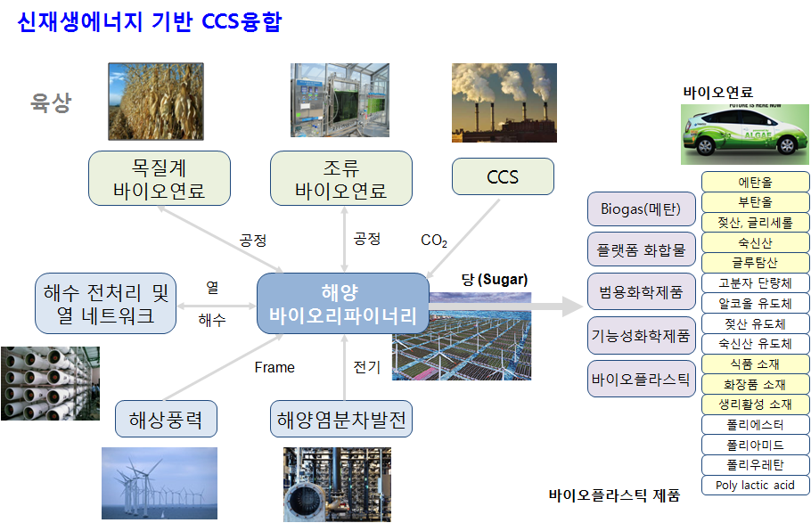 신재생에너지 기반 CCS 융합 해양 바이오리파이너리 기술