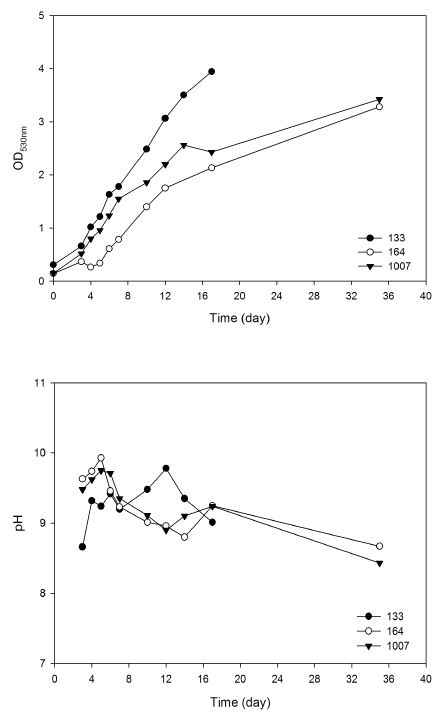 해양미세조류 3종의 시간에 따른 OD530 및 pH 변화