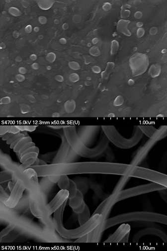 합성 전 니켈 표면에 형성된 촉매시드와 합성 후 탄소나노섬유의 고배율 SEM 이미지