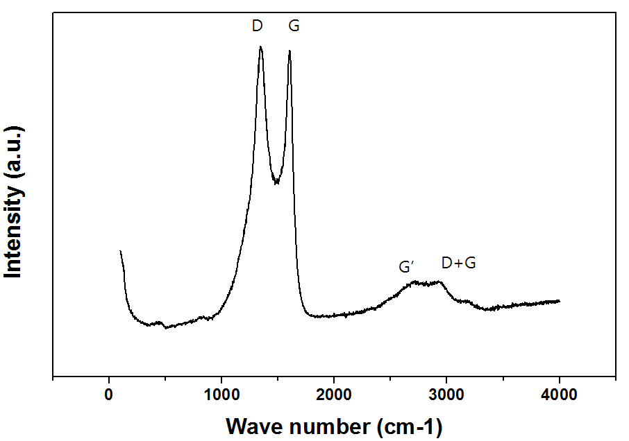 합성된 탄소나노섬유의 Raman spectroscopy