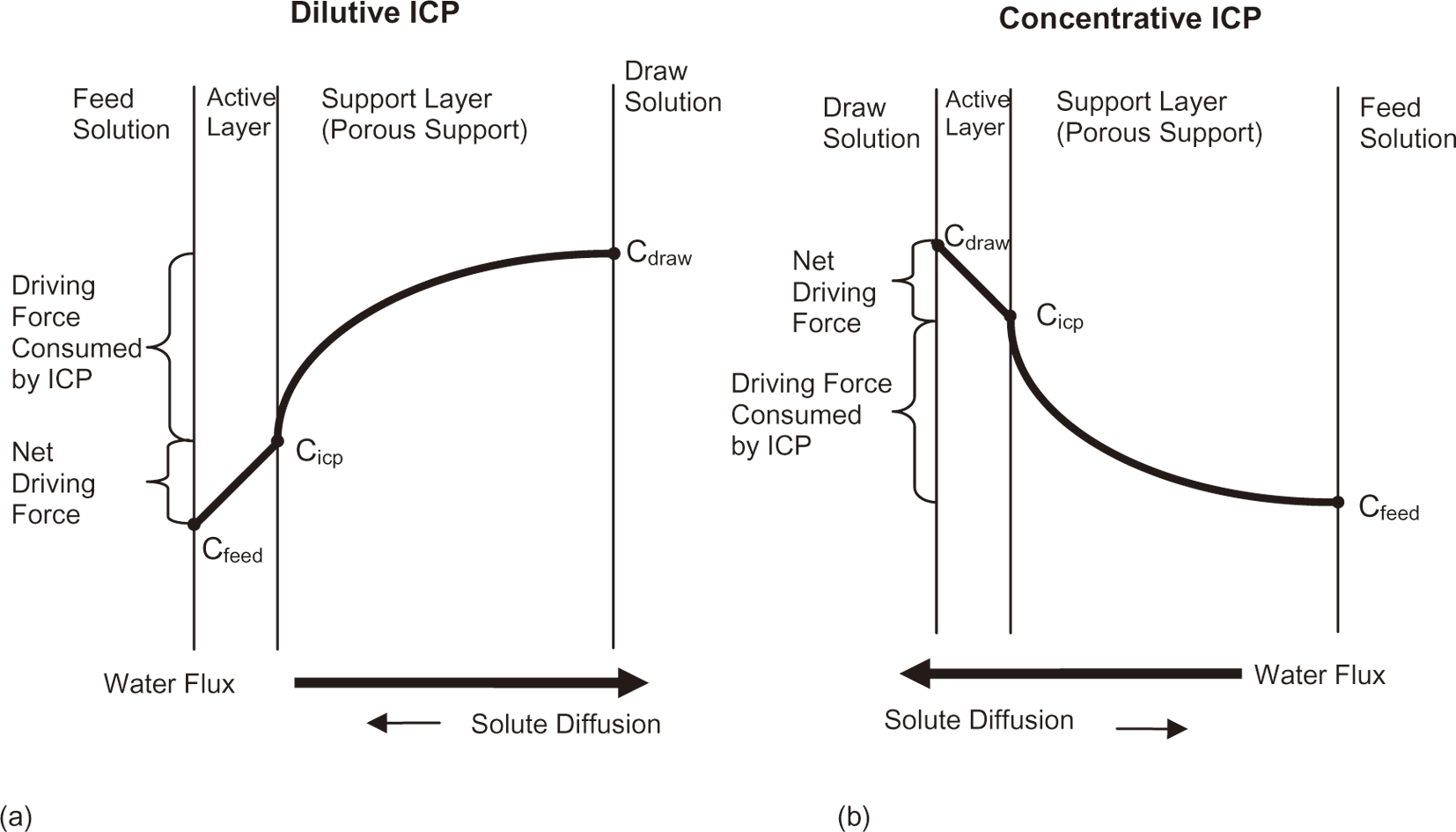 The schematic representation of dilutive (a) and concentrative (b) internalconcentration polarizatioin(ICP)