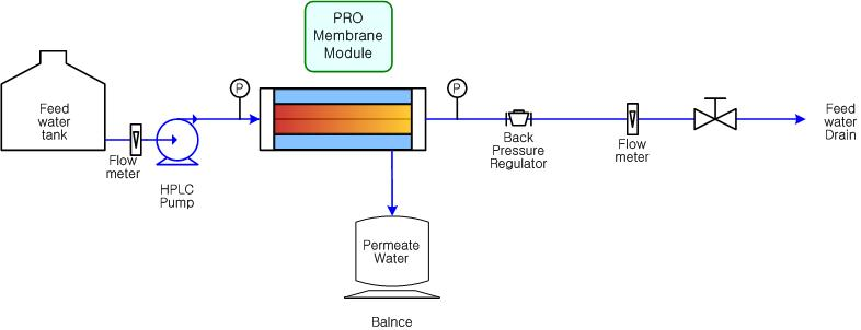 Schematic diagram of the intrinsic water flux measurement system