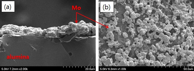 스크린 프린팅 공정으로 제조한 Mo 전극 미세구조