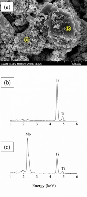 (a) Mo/TiN core-shell structure 미세구조, (b) the EDX signal used to analyze theelements in region ⓑ and (c) the EDX signalused to analyze the elements in region ⓒ.