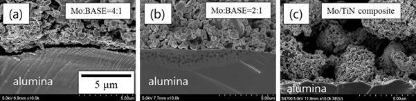 전극 소재에 따른 electrode/alumina interface 미세구조