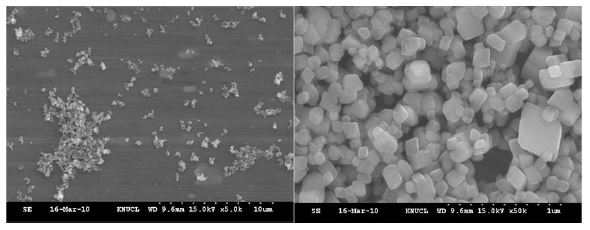 그림 2칼슘 나노/마이크로 입자의 SEM 사진