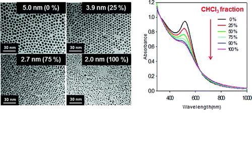 그림 1. 벤젠용매에 대한 클로로폼의 함량에 크기가 달라지는 Au 나노 입자들의 전자투과현미경 이미지(좌)와 UV-vis 흡수 스펙트럼(우).