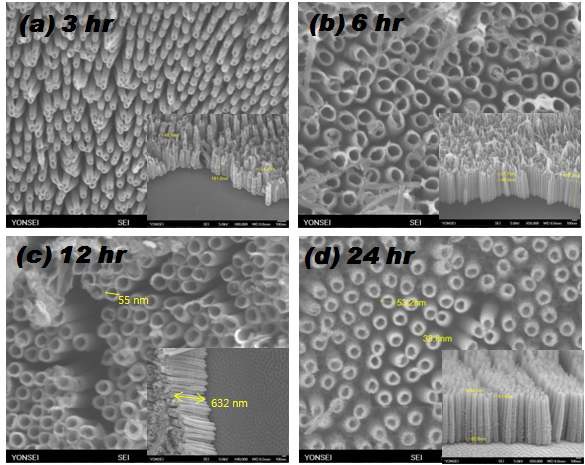 그림 5. 양극 산화법으로 시간에 따라 제작한 TiO2 나노튜브들의 SEM 그림