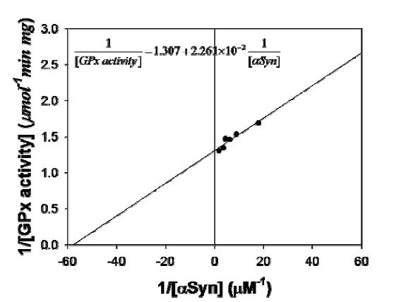 α-Synuclein 단량체 농도와 glutathione peroxidase 활성에 대한 이중역비례선 그래프