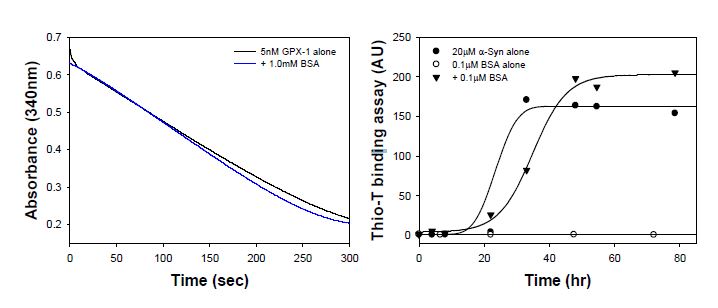 α-synuclein과 glutathione peroxidase간 선택적 상호작용의 확인