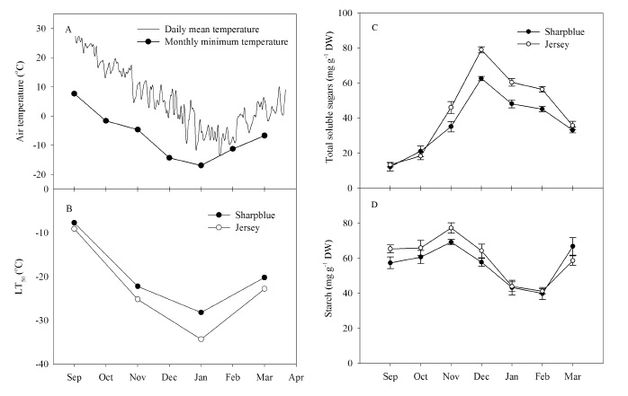 Fig. 1 Seasonal changes in cold hardiness (LT50), total soluble sugar, and starch contents in the shoots of ‘Sharpblue’ and ‘Jersey’ highbush blueberry cultivars