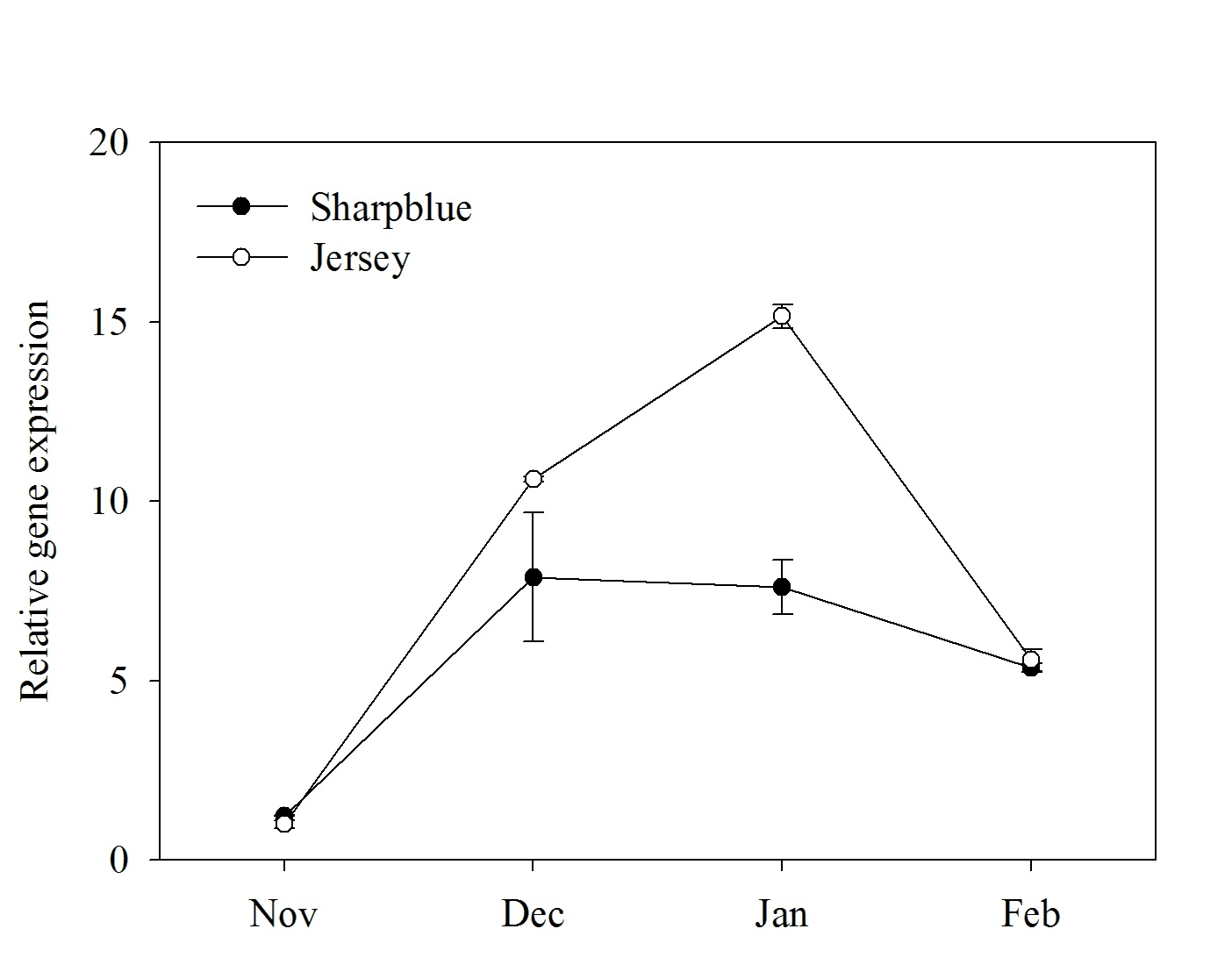 Fig. 2. Seasonal changes in the relative geneexpression of VcBMY in the shoots of‘Sharpblue’ and ‘Jersey’ highbush blueberrycultivars.