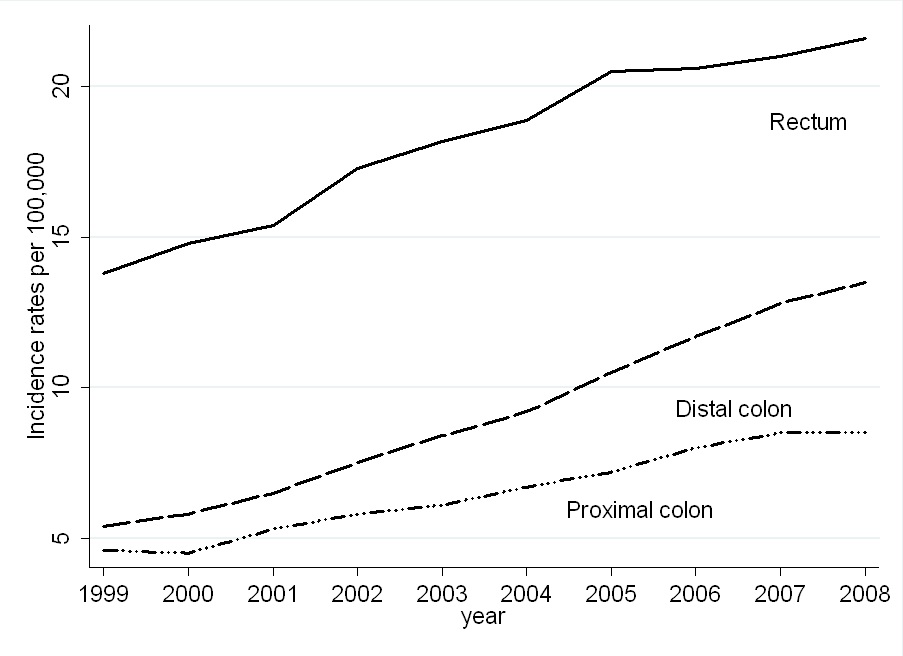 그림 1 남성의 대장암 부위별 연령표준화 발생률 추이, 1999-2008