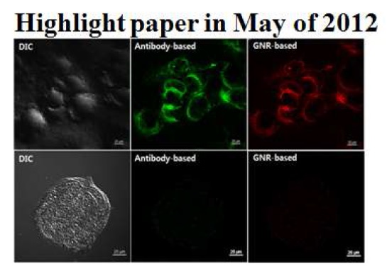 그림 2. Specific targeting of thyroid cells using modified goldnanorods. JKPS 2012 60(10):1700~1707