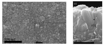 그림 14. (a)CFTS의 주사전자 현미경 이미지 (b)고해상도 확대 이미지 (c)단면 투과전자 현미경 이미지