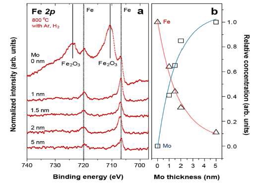 그림 4. 증착된 Mo층의 두께에 따른 기판 표면에서의 Fe 입자의 밀도 변화 및 산화된 Fe입자의 환원 경향