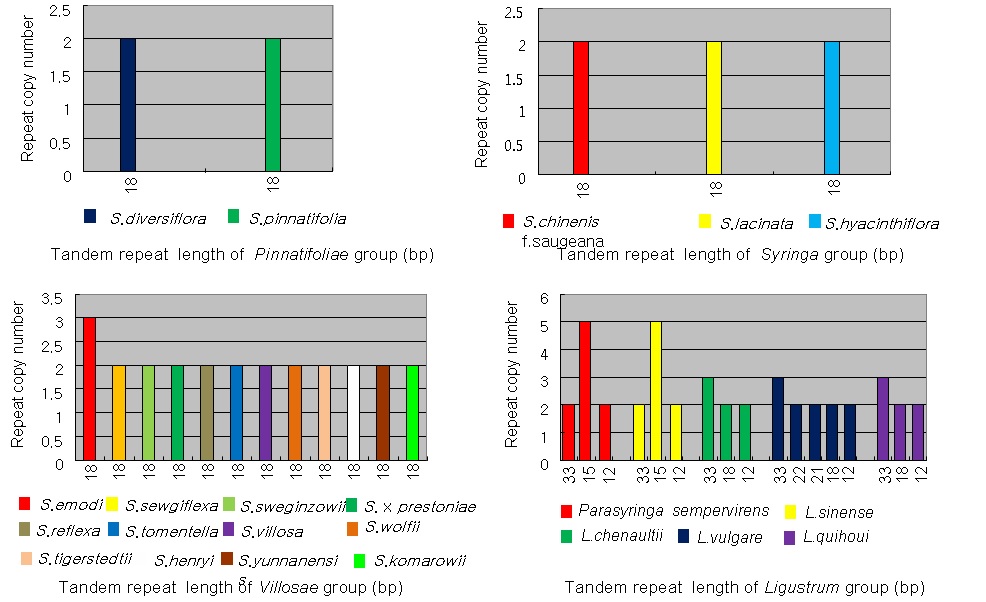 Fig.9. Tandem repeat length of each group in the ycf2 gene region