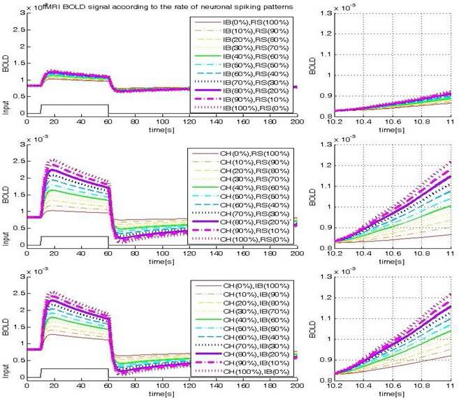 그림 6 신경세포의 분포에 따른 BOLD fMRI 신호