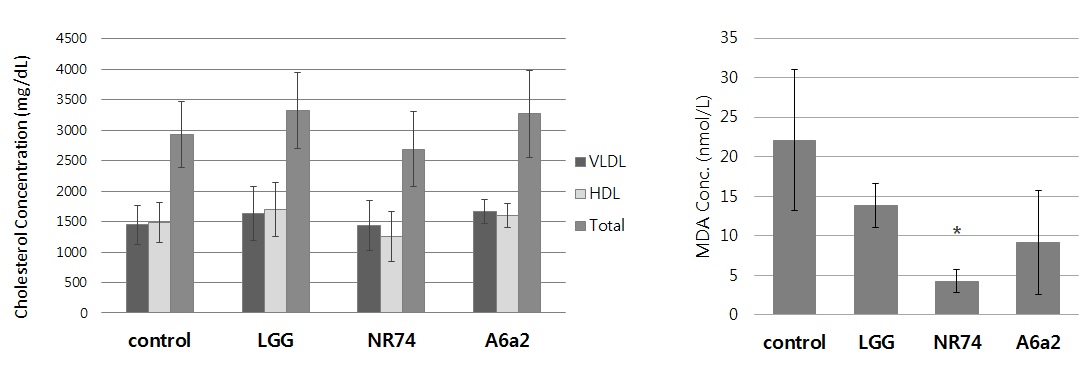 그림 20. STZ와 고콜레스테롤 식이를 이용한 동맥경화 유도 쥐의 혈중 콜레스테롤 양(좌측)과 TBARS결과