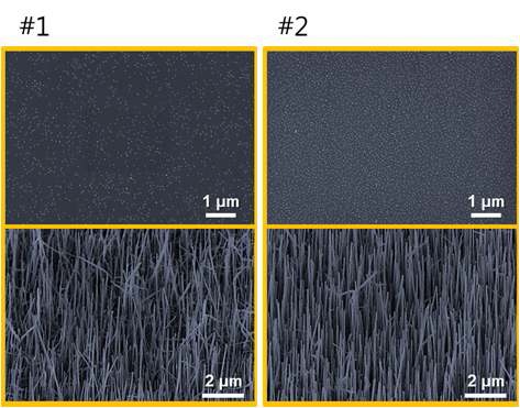 그림 10. InGaAs/GaAs 나노막대 (1)저밀도 (2)고밀도)