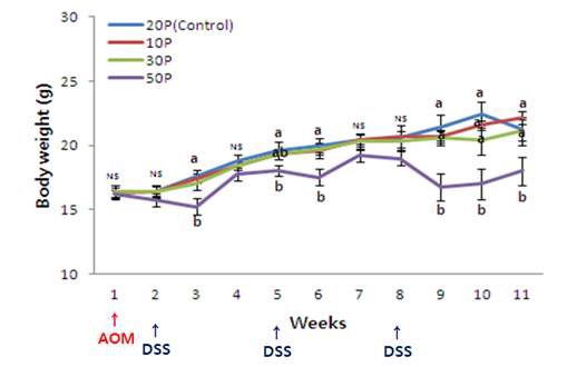 Figure 22. The change of body weights between control and experimental diet fed mice