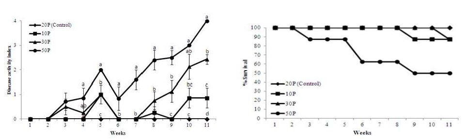 Figure 23. Disease activity index and survival rate of mice