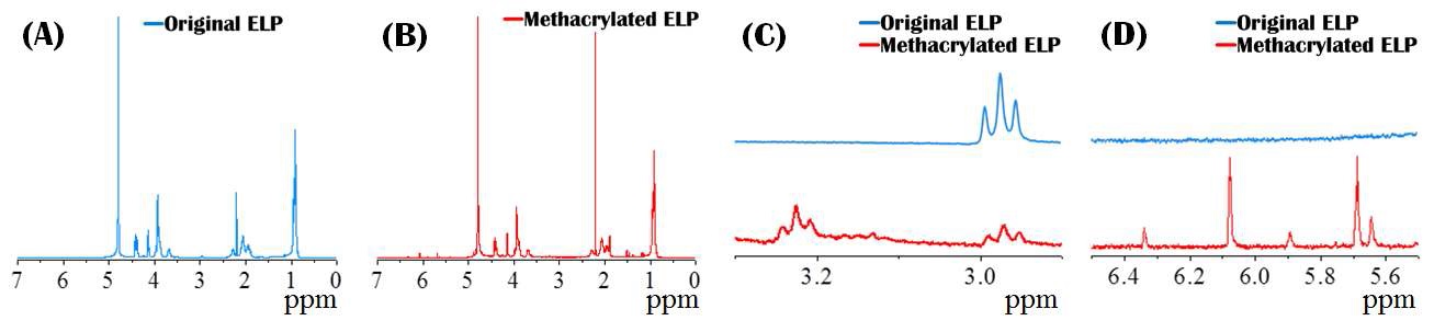 그림 9. 엘라스틴에 기초한 폴리펩타이드와 이중결합을 가진 형태로 재조합한 1H NMR 결과.