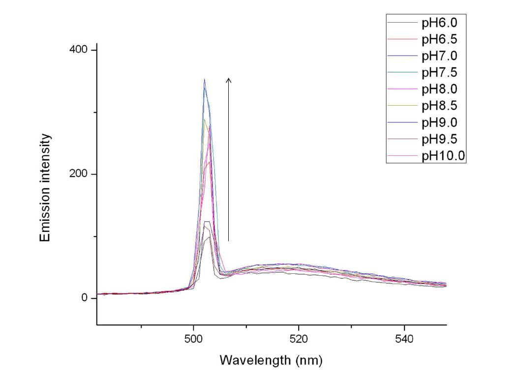 그림 12. 다양한 pH의 완충 용액 하에서 화합물 1의 방출스펙트럼의 변화.