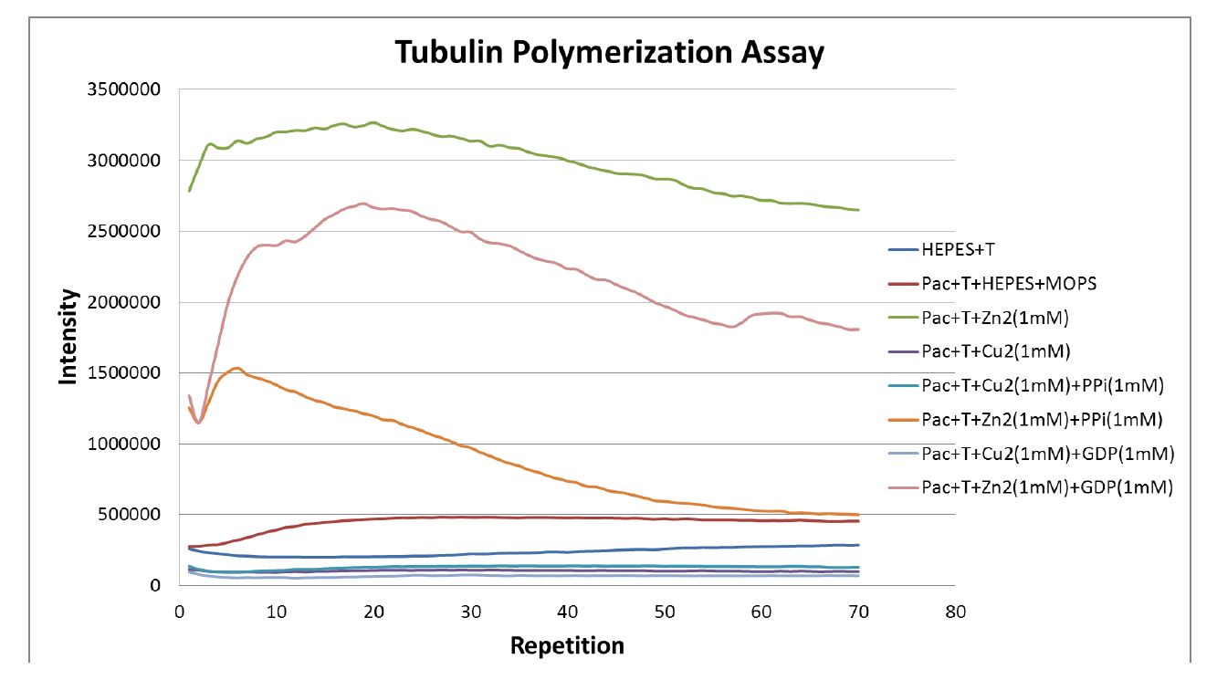 그림 2. Tubulin과 화합물 4를 이용한 형광 array 실험