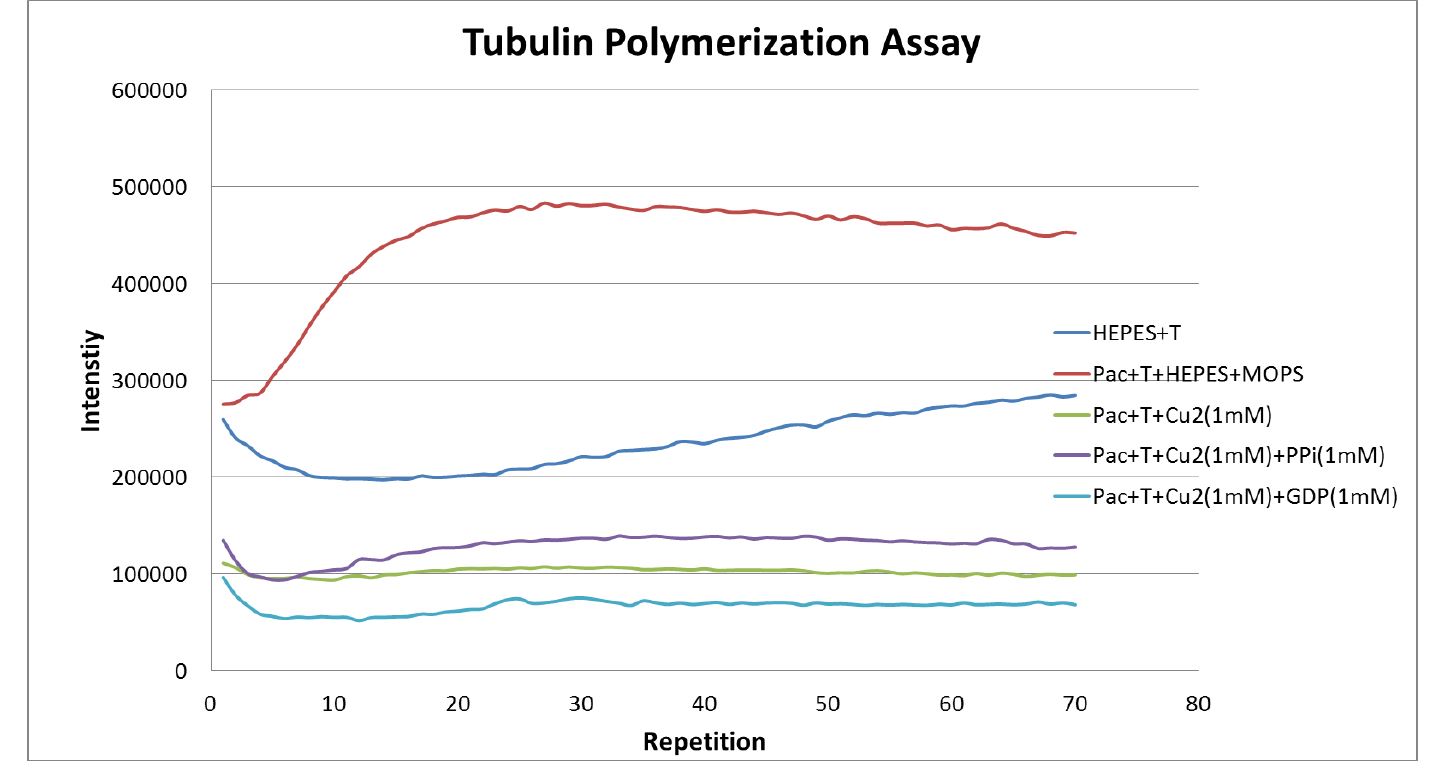 그림 3. Tubulin과 화합물 5를 이용한 형광 array 실험